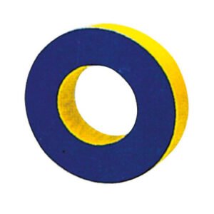 Circle Activity Sponge
