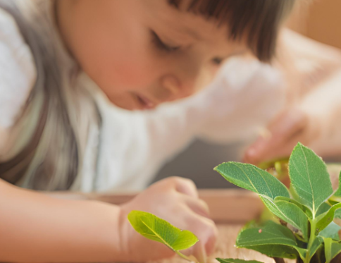 Montessori Magic: Nurturing the Natural Learner