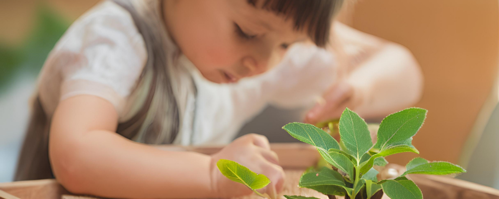 Montessori Magic: Nurturing the Natural Learner