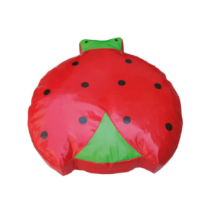 Ladybug Cushion