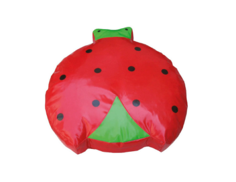 Ladybug Cushion
