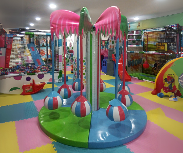 Tropical Spinner Palm